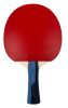 Butterfly Timo Boll Sapphire